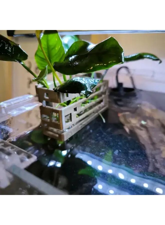 White Aquarium Plant Holder Set Of 3 For Enhancing Fish Tank Beauty - Image 1